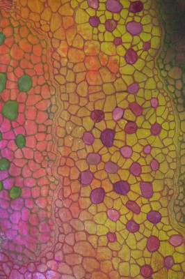 Betty_Busby-Dichotomy-detail-1200-266x400