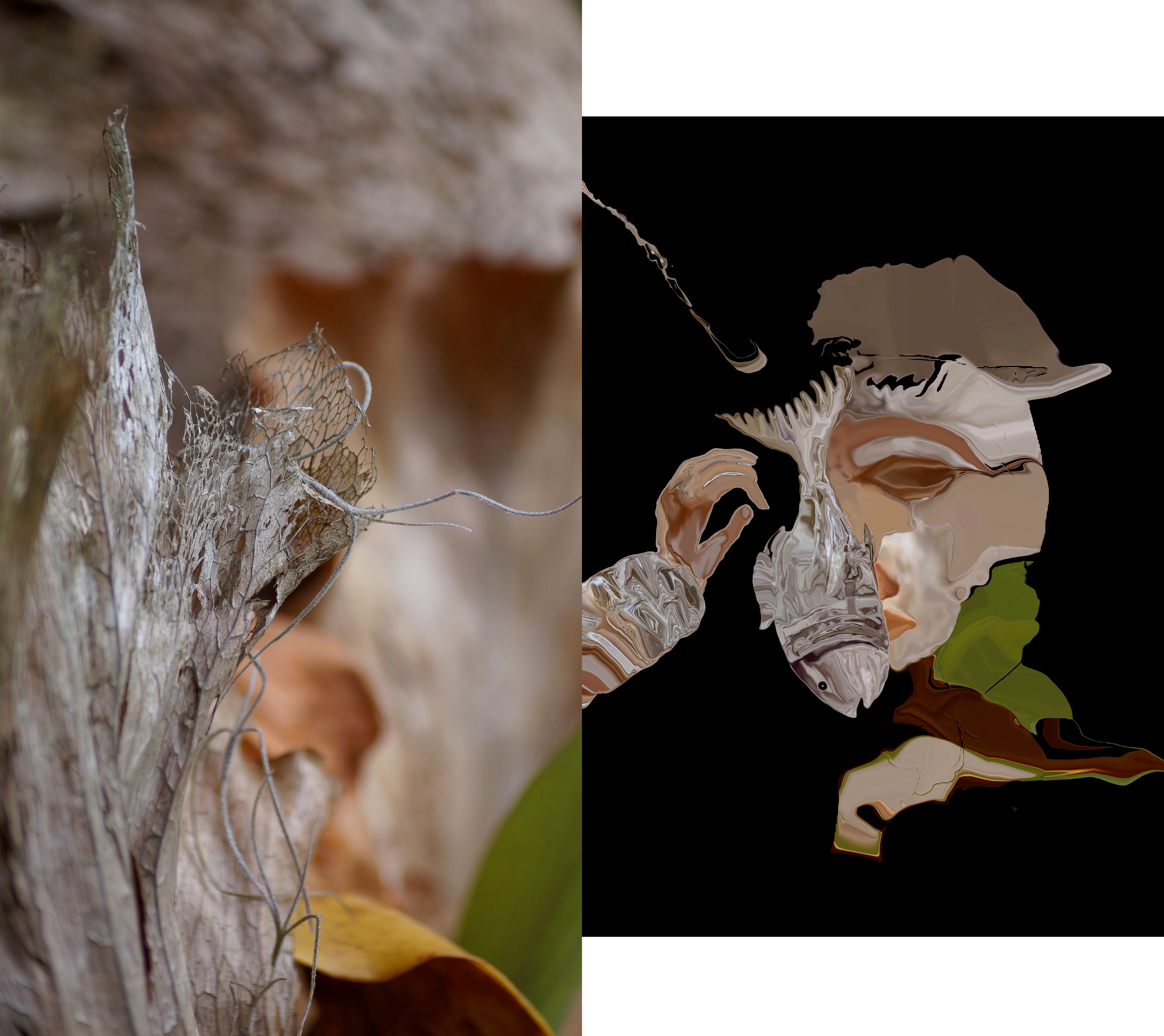 Coffee and Coversation with Dacota Maphis is May 10th at NOON at DFAC