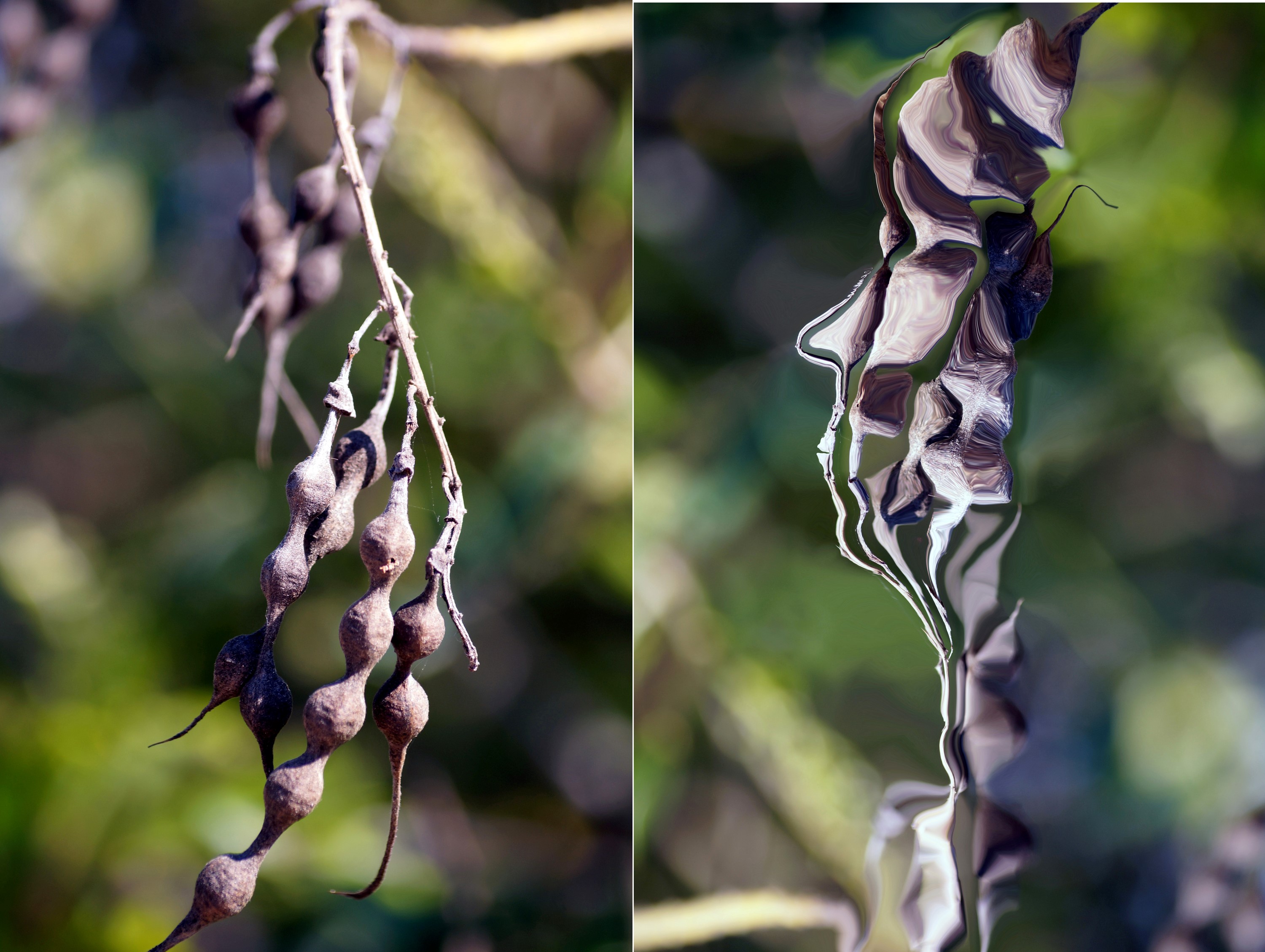 Coffee and Coversation with Dacota Maphis is May 10th at NOON at DFAC