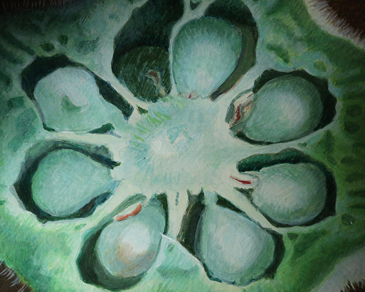 The Gainor Roberts Genesis Series consists of views of seeds inside fruits and vegetables.