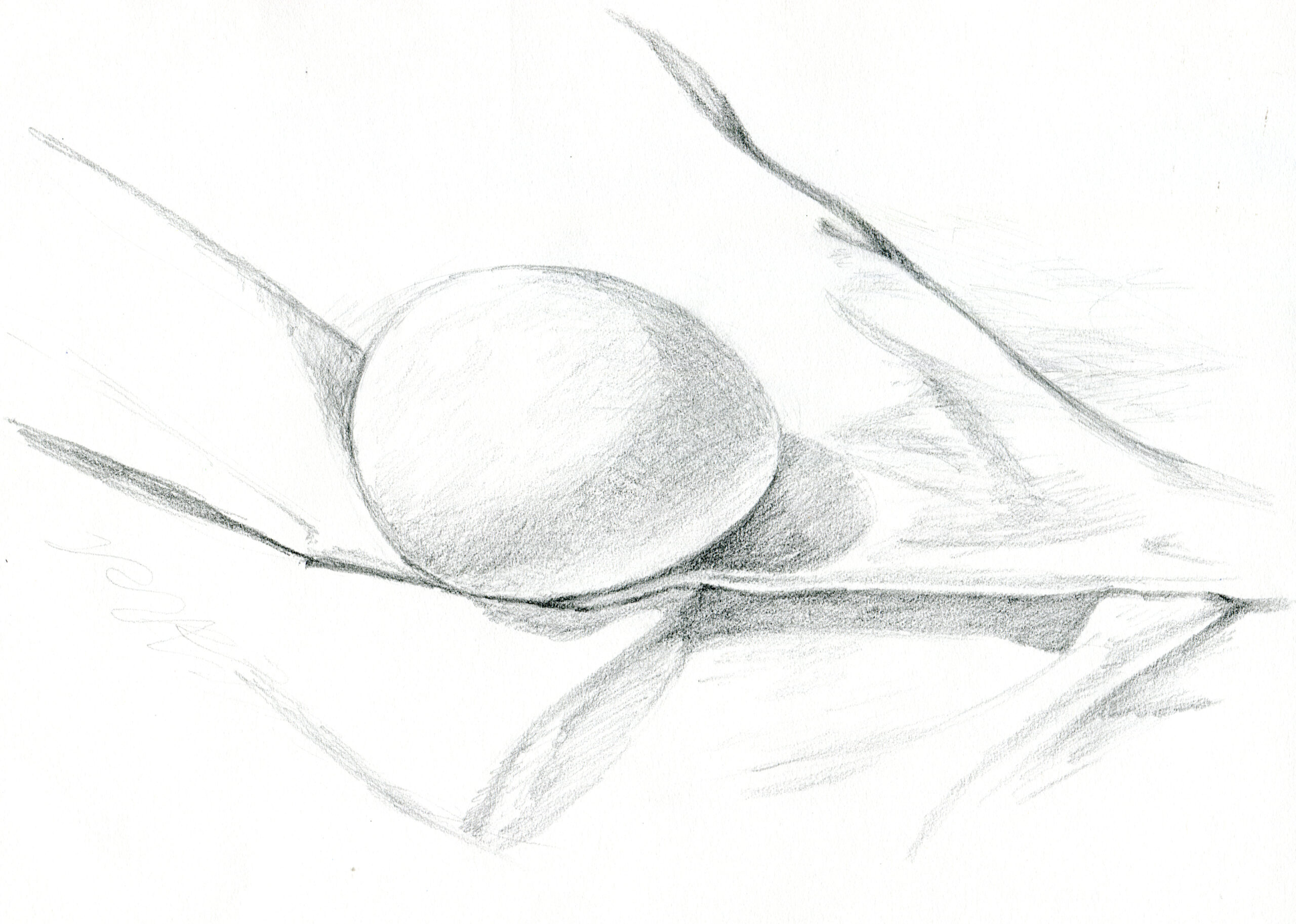 DR401 Basic Drawing