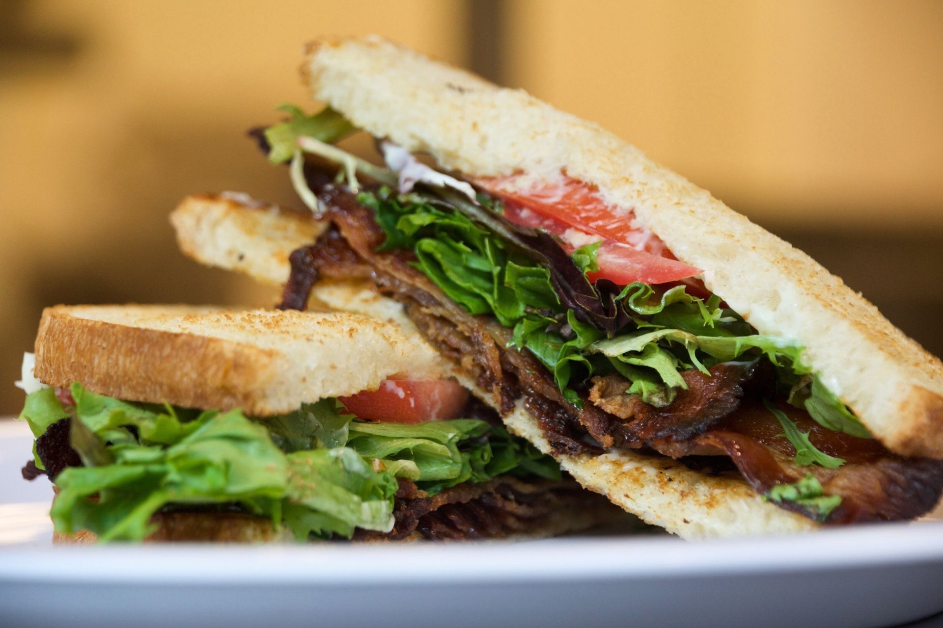 Palm Cafe | sandwich
