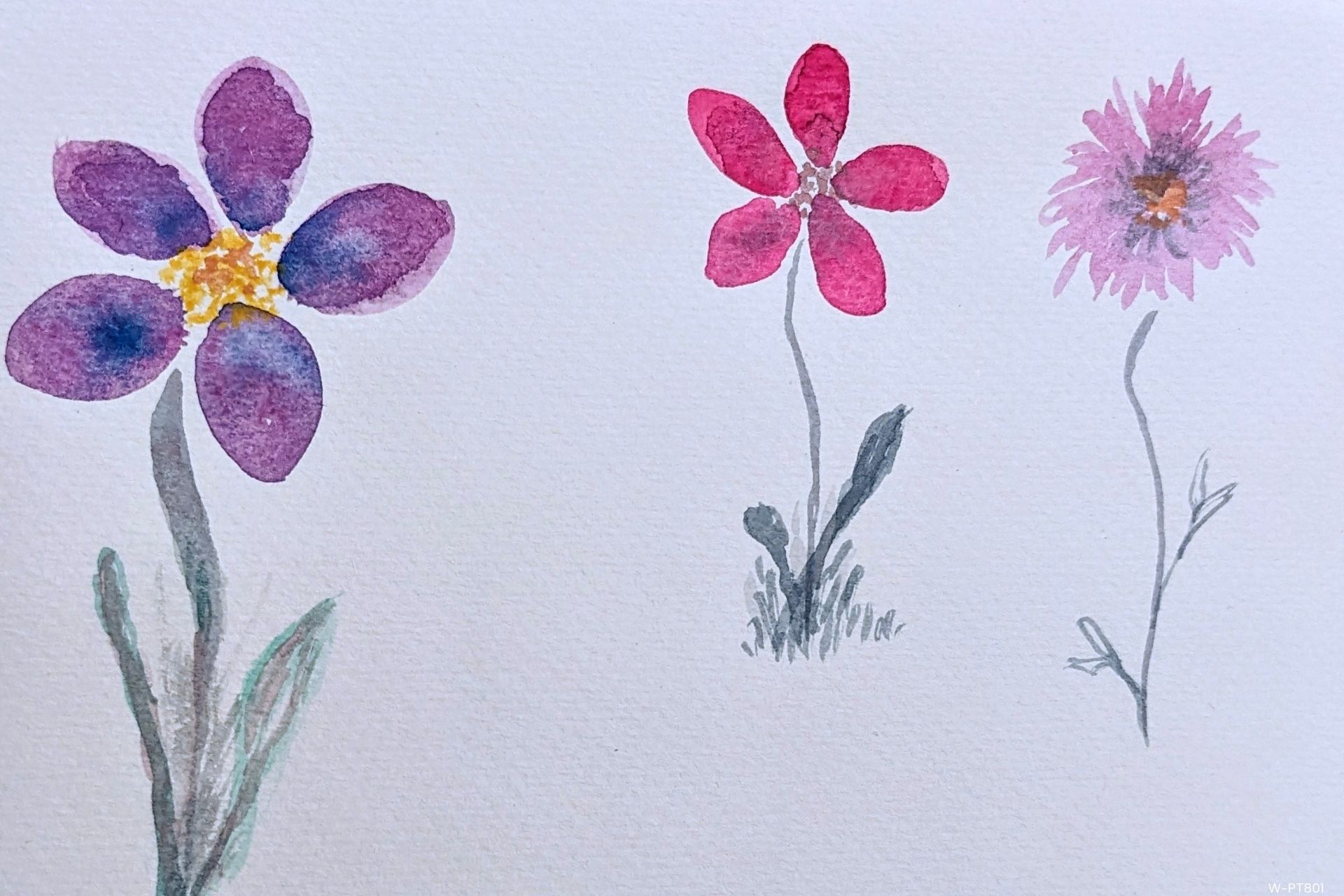 W-PT801 Watercolor Garden
